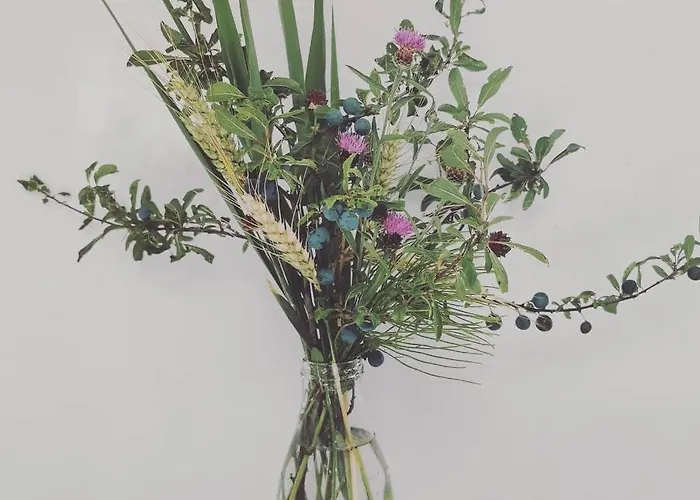 Bateau Entre Lille Et Paris Bed & Breakfast Thourotte