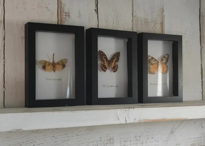 Bateau Entre Lille Et Paris *